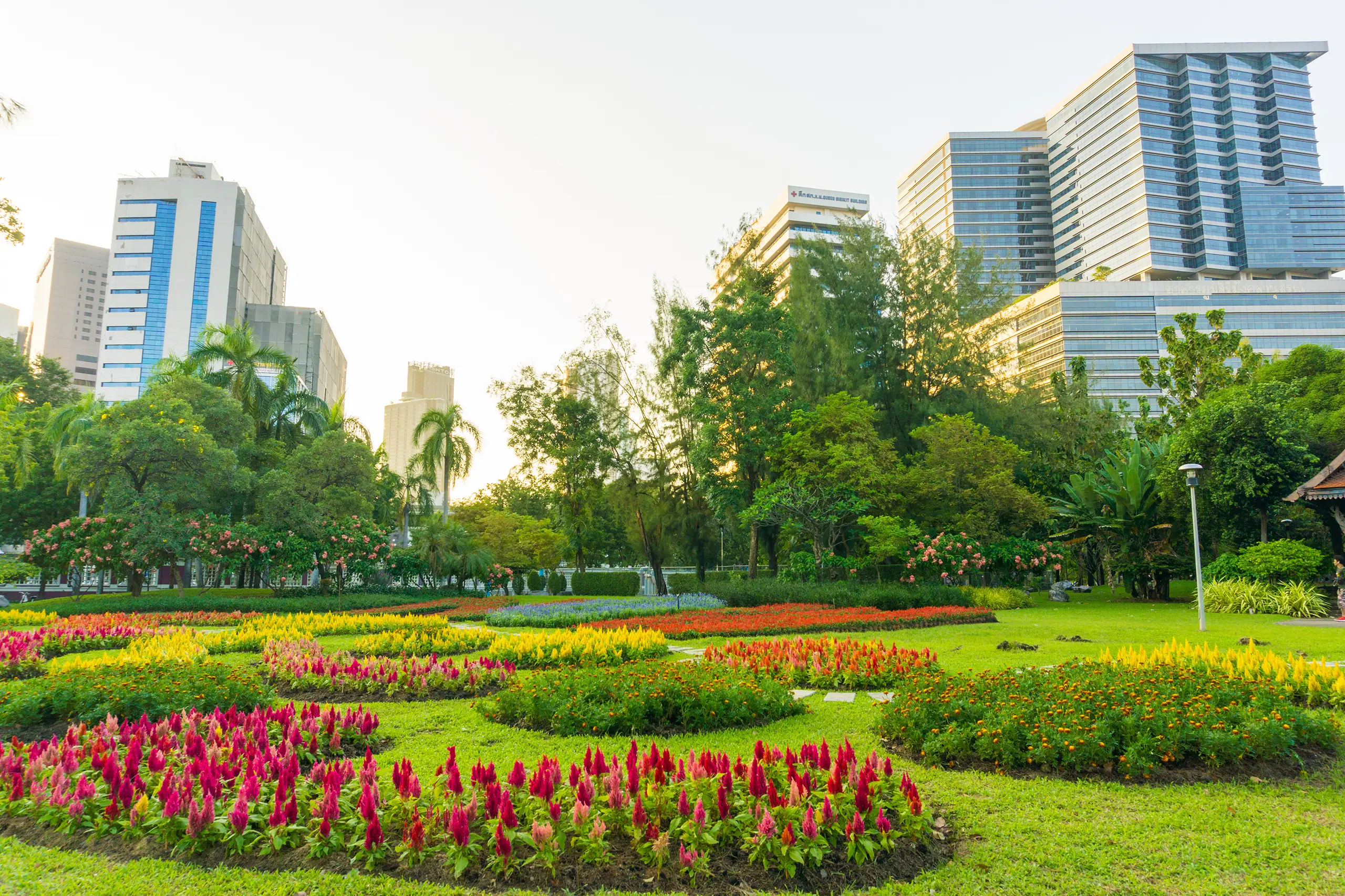 Commercial Landscaping Services in Houston, TX