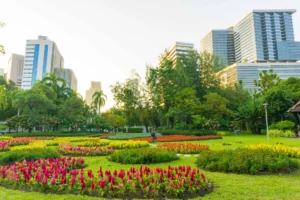 A city park with colorful flower beds, green grass, and trees, with tall modern buildings in the background under a clear sky.