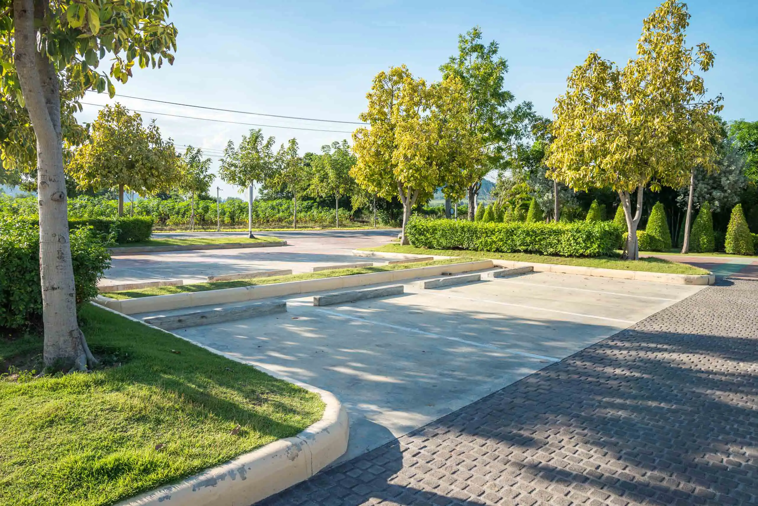 An empty parking lot with several parking spaces, surrounded by green trees and bushes under a clear blue sky on a sunny day.