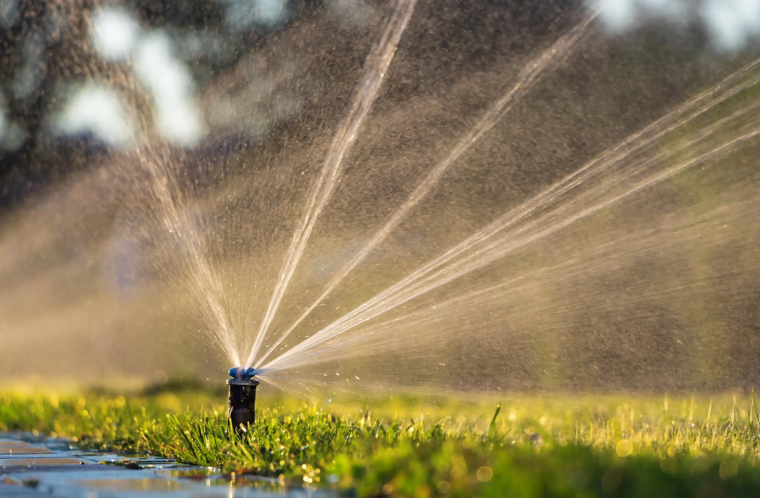 Commercial Irrigation Systems