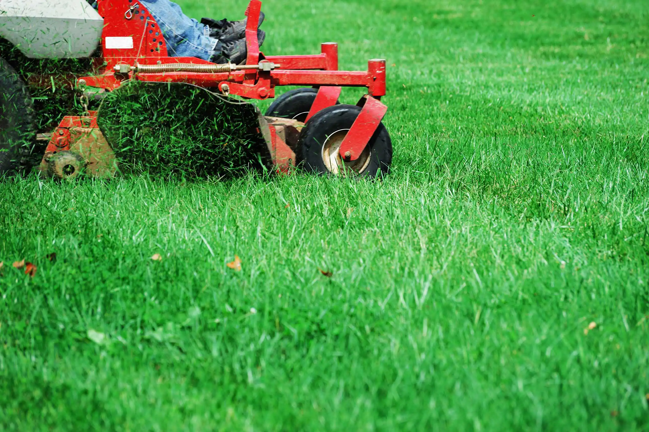 Person riding a red lawn mower, cutting green grass in a yard. Only the lower part of the mower and the persons legs in jeans and boots are visible. Freshly cut grass is flying from the mower.