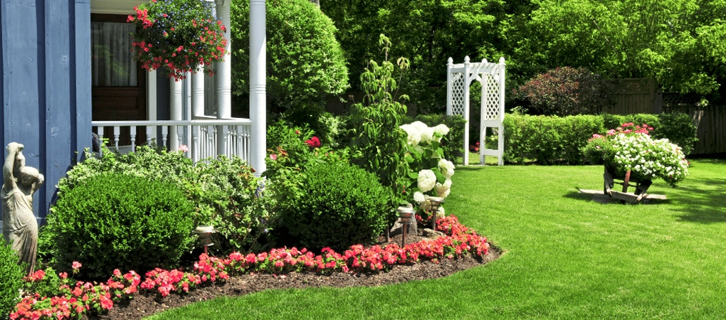Important Steps to Landscape Design