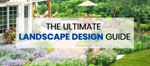 Ultimate Landscape Design Guide