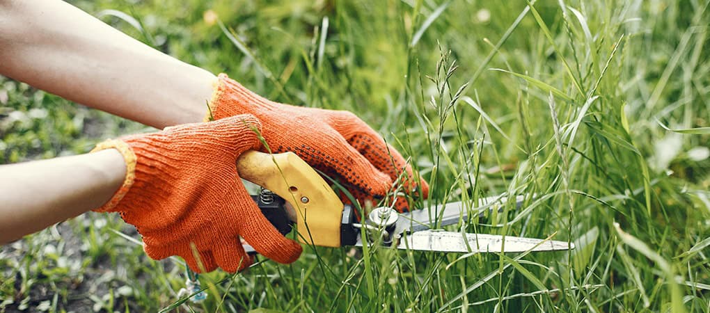 how to get rid of grass stickers