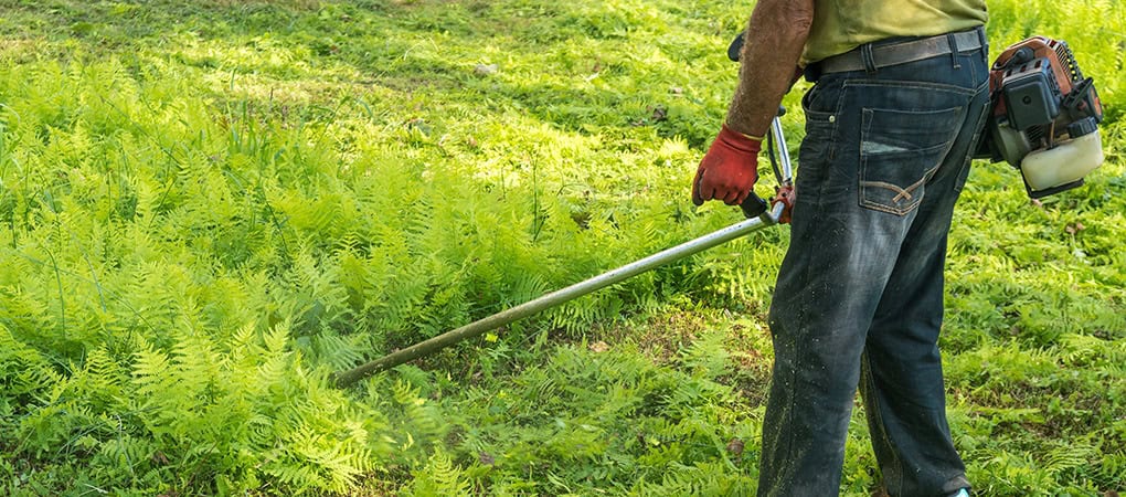 how to remove stickers from your yard