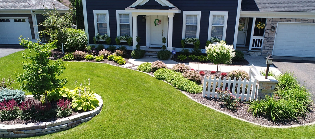 step by step landscaping ideas