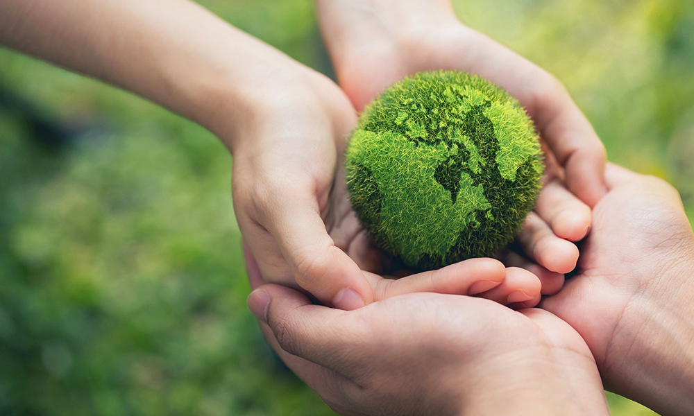Trend 1 Sustainability Takes Center Stage sustainable landscaping Texas