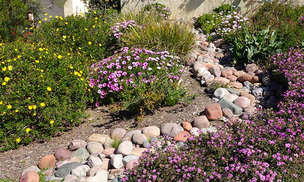 Trend 2 Drought-Tolerant Landscaping & Water Conservation Drought-tolerant landscaping