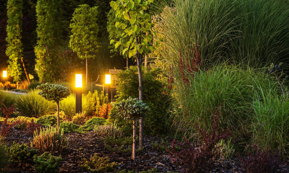Trend 6 Enhanced Landscape Lighting Enhanced Landscape Lighting