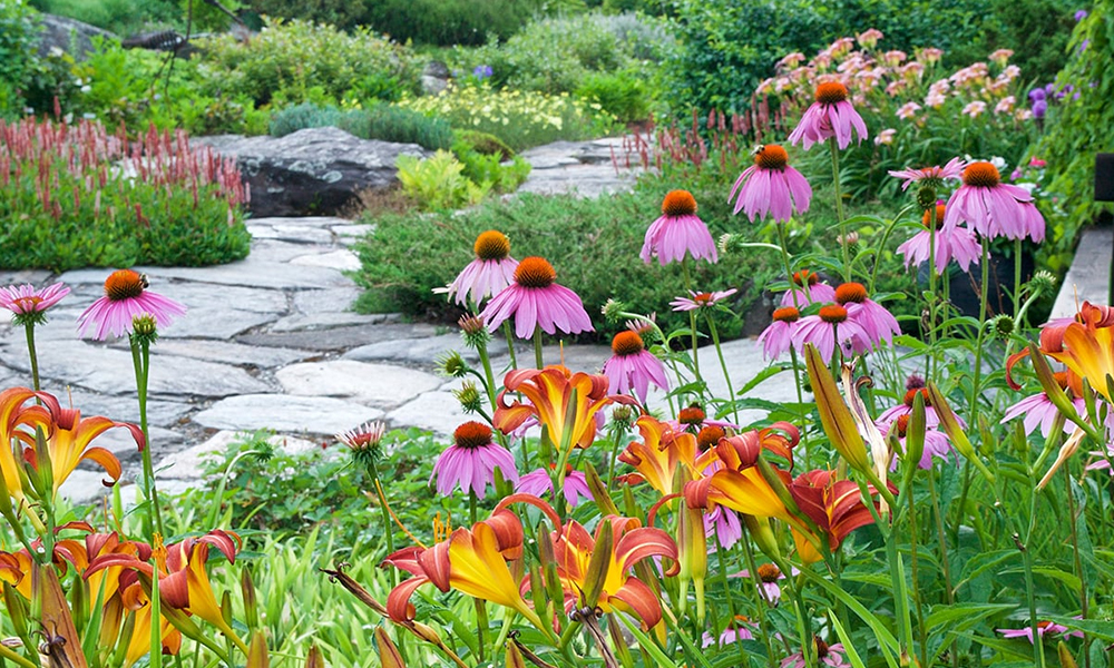 Trend 8 Native and Pollinator-Friendly Planting Native and Pollinator-Friendly Planting