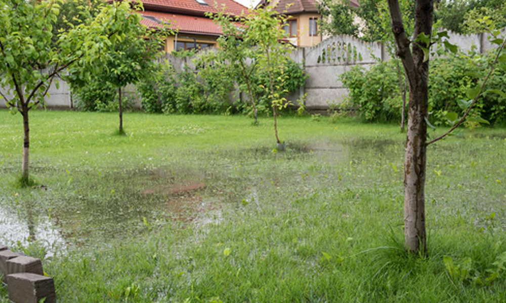 Flooding Issues