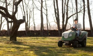Why a Seasonal Lawn Maintenance Plan is Important to Save Your Money