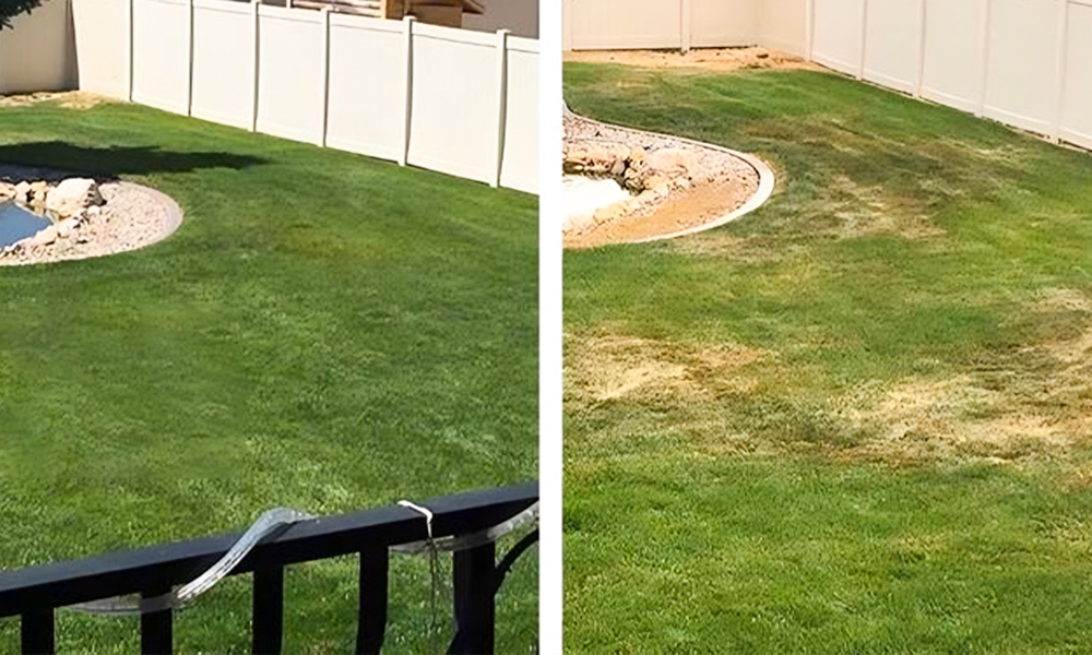 Texas lawns before and after HOA landscape maintenance showing protection against drought and storms