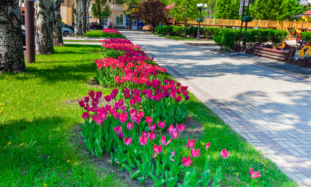 Well-maintained Texas HOA neighborhood showing increased property value and community pride