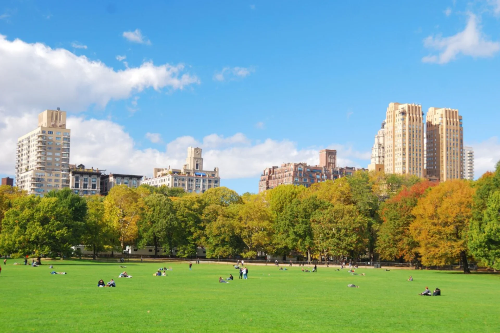 school and universities