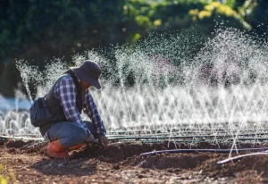 sprinkler system repair