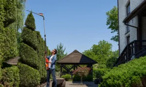 Seasonal Landscaping Checklist for Commercial Properties near Inwood Forest & Jersey Village