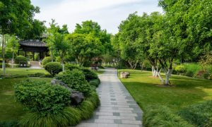 Commercial Landscape Design Trends for Houston Businesses in 2026