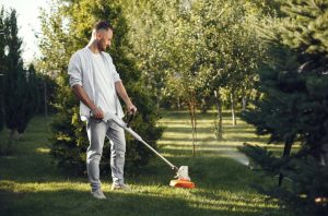 Lawn Care Tips for Commercial Properties in Near Northwest & Laurel Creek