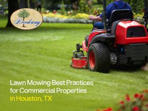 Lawn Mowing Best Practices for Commercial Properties in Houston, TX