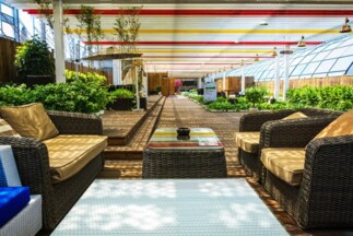 Hotels & Resorts Interior Landscaping