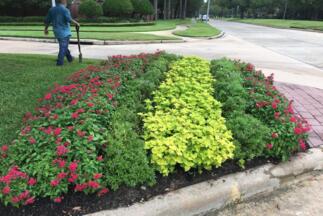 Retail Centers Flower Bed Maintenance