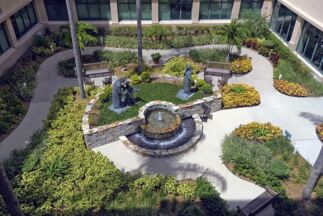 Healthcare Facilities Flower Bed Maintenance