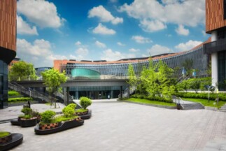 Healthcare Facilities Landscape Installation