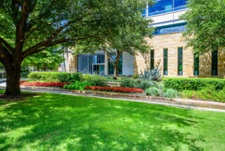 Corporate Campuses landscape