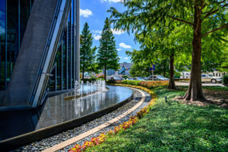 Office Buildings landscape