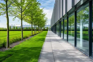 Corporate Offices landscaping