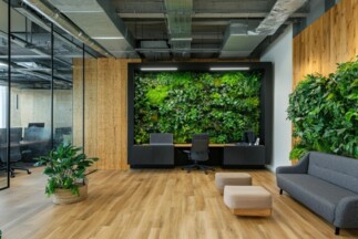 Corporate Offices Interior Landscaping