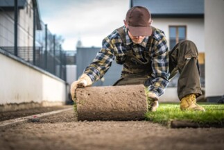 sod installation retail outdoor sod Installation