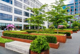 Corporate Campuses landscape