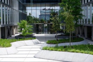 Office Buildings landscape