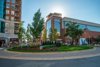 Retail Centers Landscape Installation