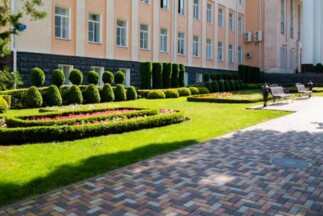 Office Buildings Landscape Installation