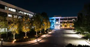 How Lighting Design Improves Safety & Appeal in Greater Inwood Landscapes