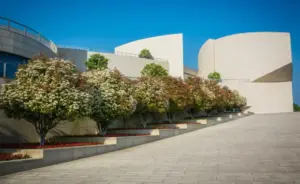 Best Time for Commercial Landscape Installation in Houston