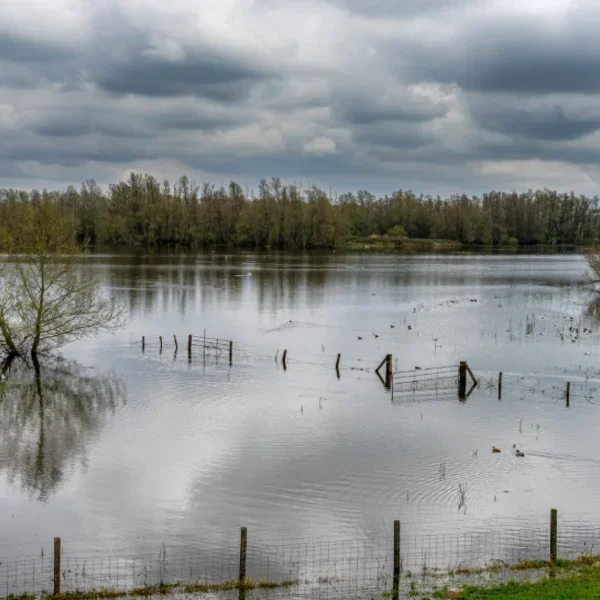 Flood water extraction Houston