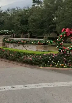 Houston, TX Holiday Decorating