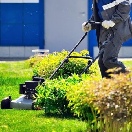 Commercial Landscape Services in Texas