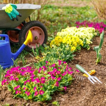 Flower Bed Maintenance