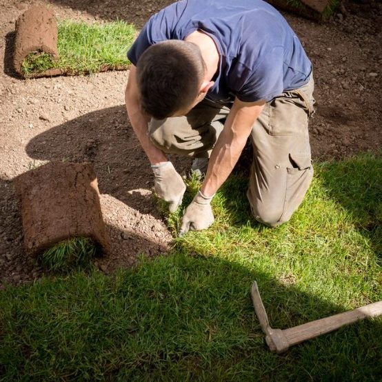 Commercial Sod Installation in Texas