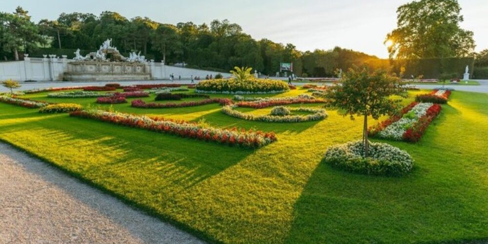 Commercial Landscape Design in Texas