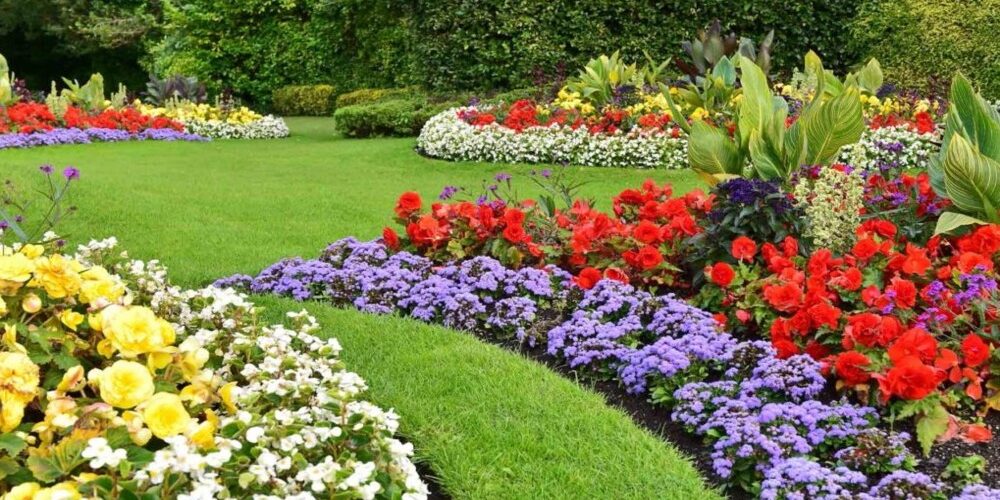 Flower Bed Maintenance