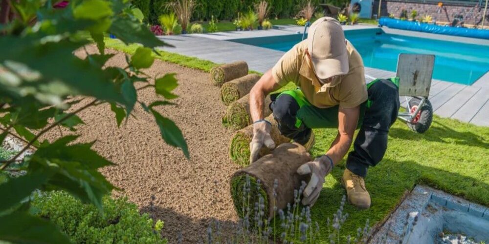 Commercial Landscape Installation in Texas