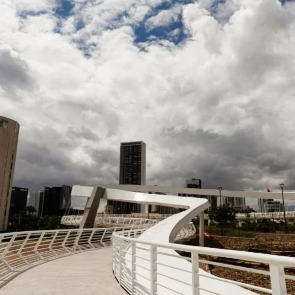 Storm Damage Restoration Services