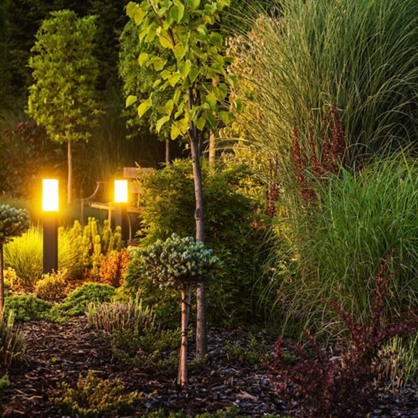 Trend 6 Enhanced Landscape Lighting Enhanced Landscape Lighting