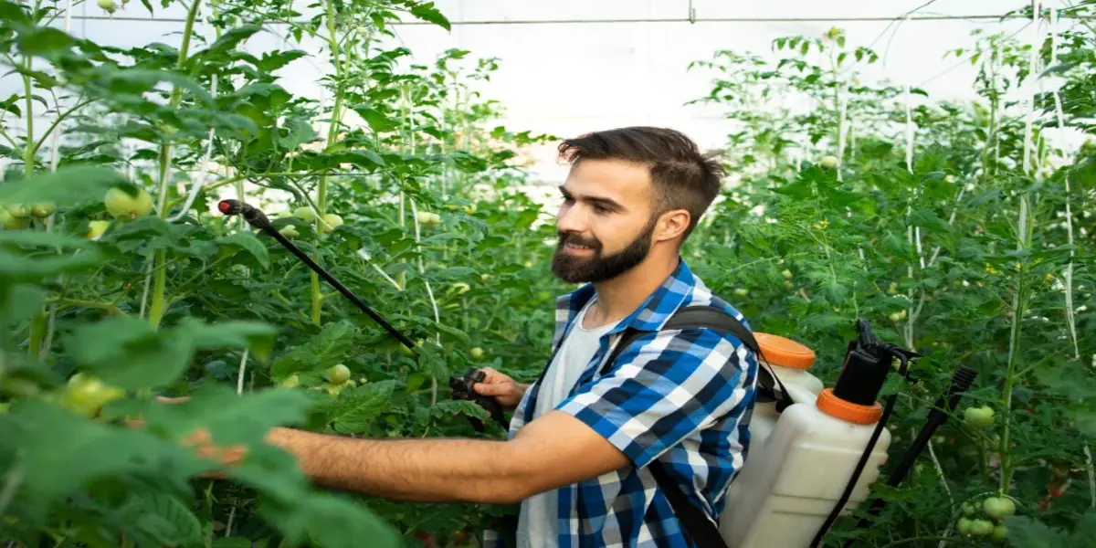 weed control service in texas